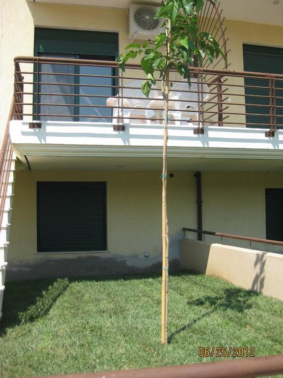 Elena Apartments Asprovalta Exterior photo